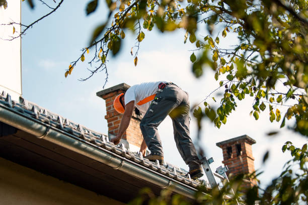 Best Roof Maintenance Services  in Georgiana, AL