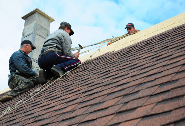 Best Roofing Contractors for Homes  in Georgiana, AL